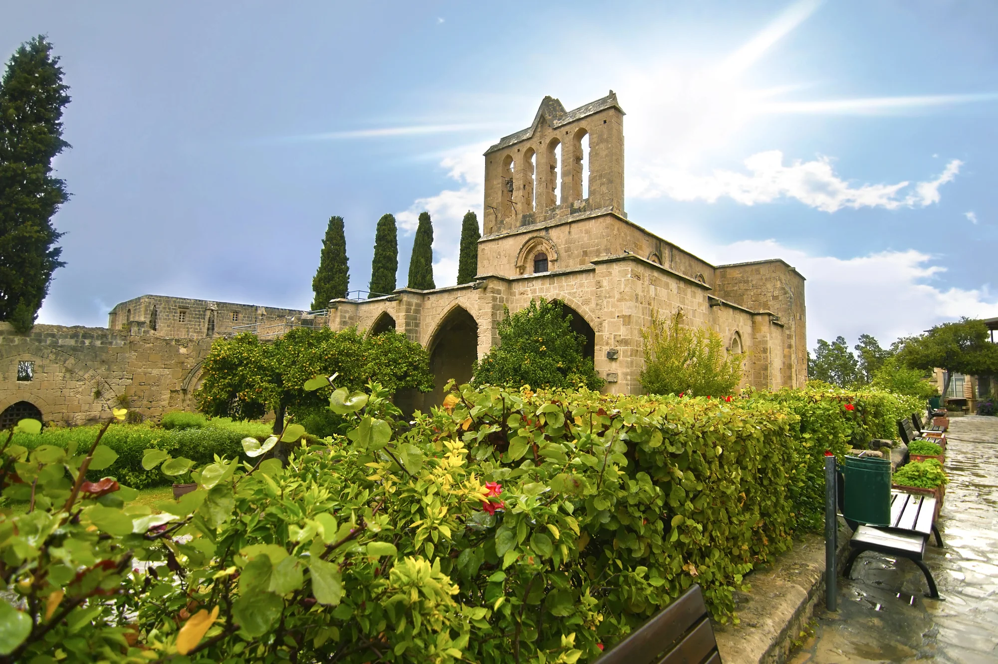 Bellapais Abbey with cypress trees