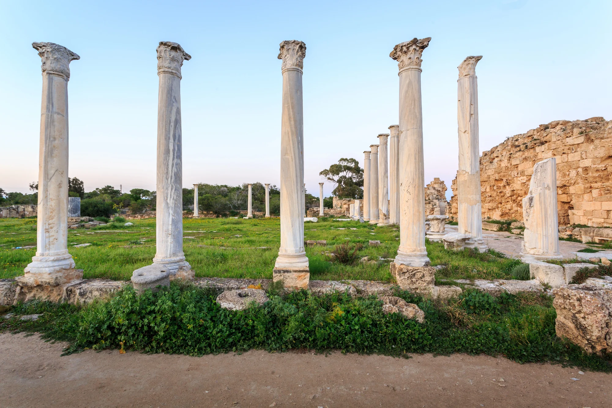 Columns of the gymnasium at ancient Salamis